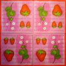 171 Beeren - 3-lagig (rosa)